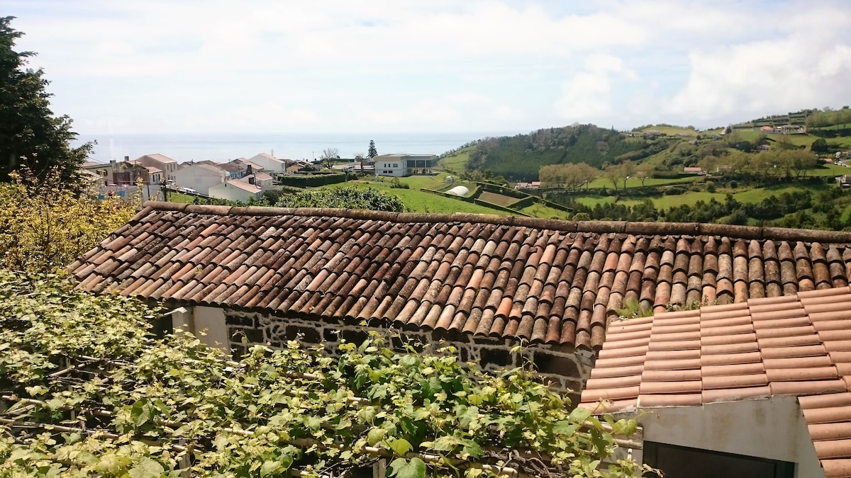 A scenic view captures terracotta roofs contrasting with lush green hills in the background. The coastline can be seen in the distance, along with a hint of the ocean. Gentle hills are dotted with buildings, providing a glimpse of the surrounding landscape.