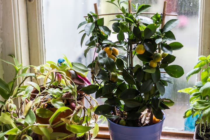 Arrive at your city mansion gallery image 5