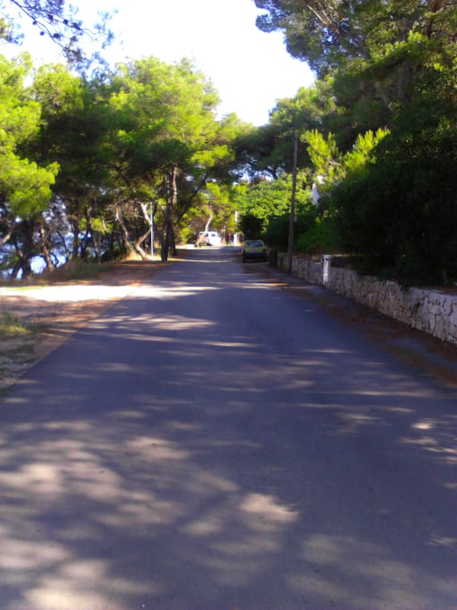 The promenade under the house