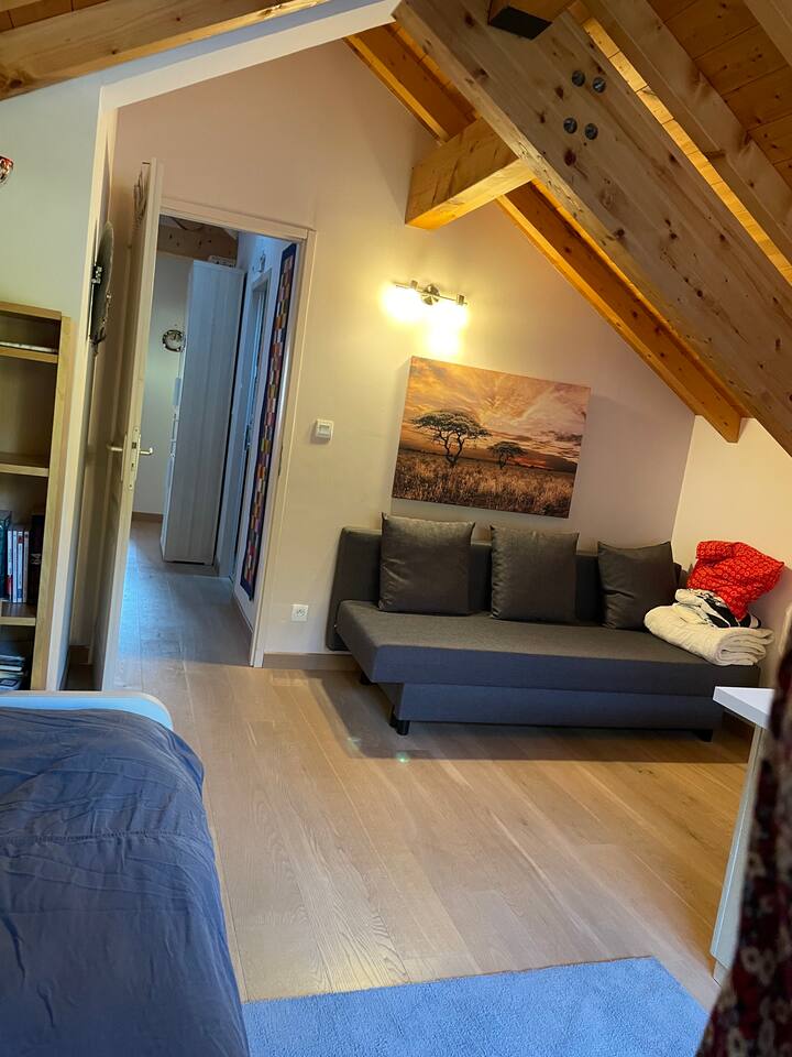 Dormitorio 1: cama 120 + sofá cama doble, escritorio 