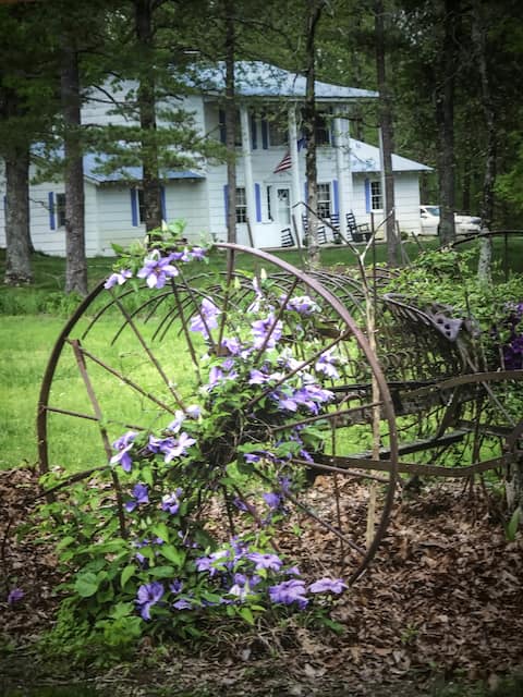Mountain Family Roost