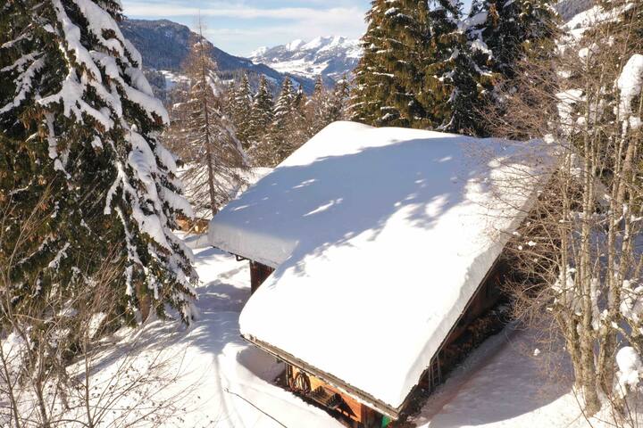 Les Diablerets – Chalet en lisière de forêt gallery image 5