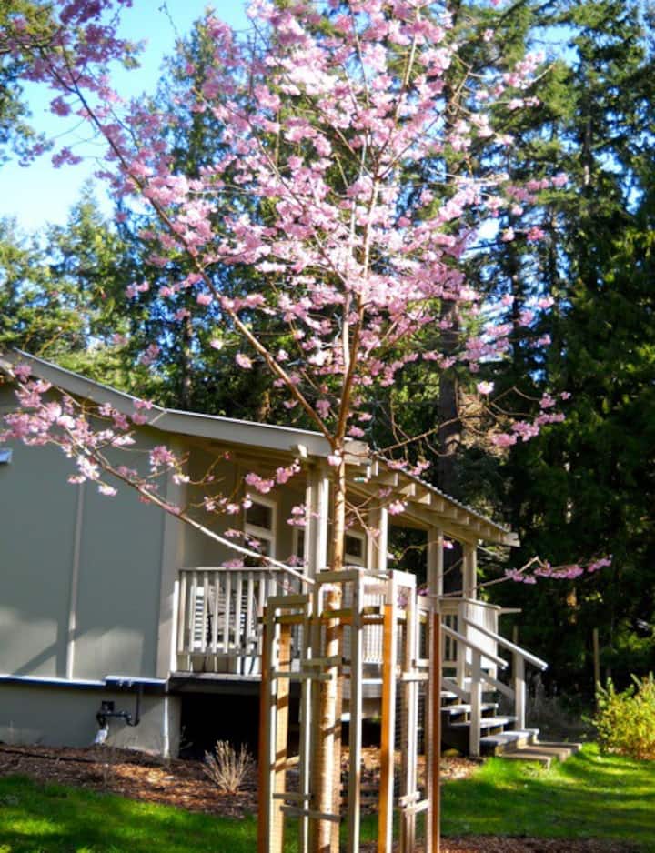 Pender Island Vacation Rentals & Homes British Columbia, Canada Airbnb