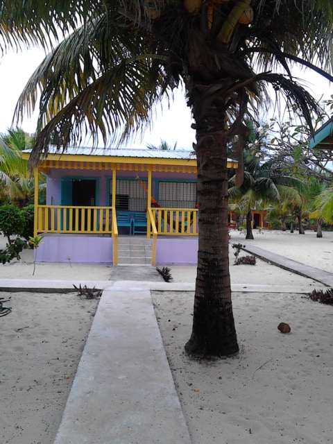 A vibrant purple cabana with yellow accents is framed by lush palm trees. A pathway leads to the cabana's entrance, which features a covered porch. Sand surrounds the structure, enhancing the tropical ambiance.