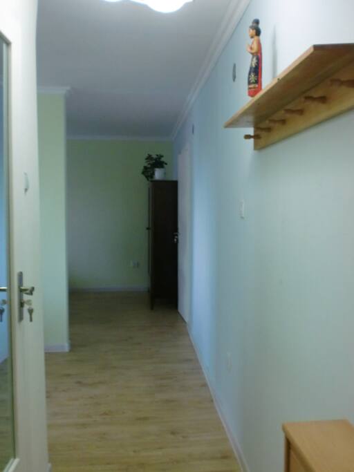 Entrance linking dining and living areas