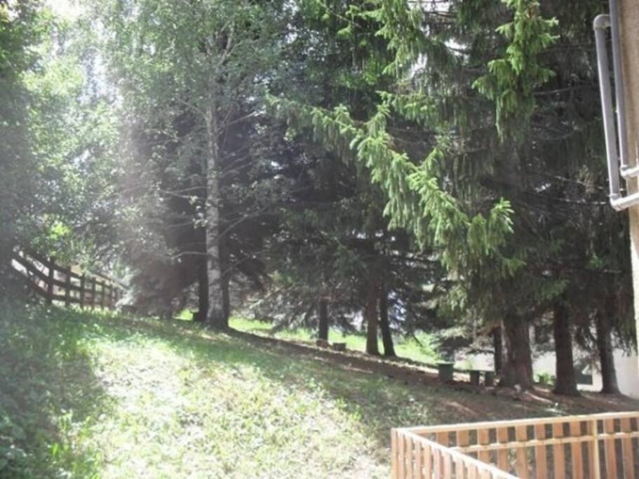 Cortile condominiale