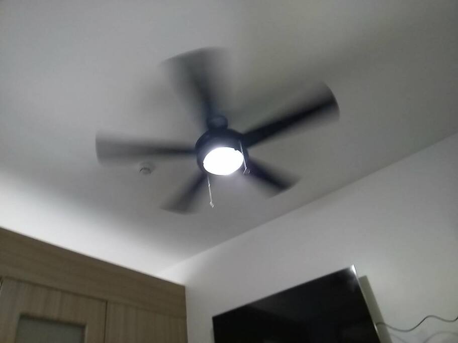 Ceiling Fan w/light