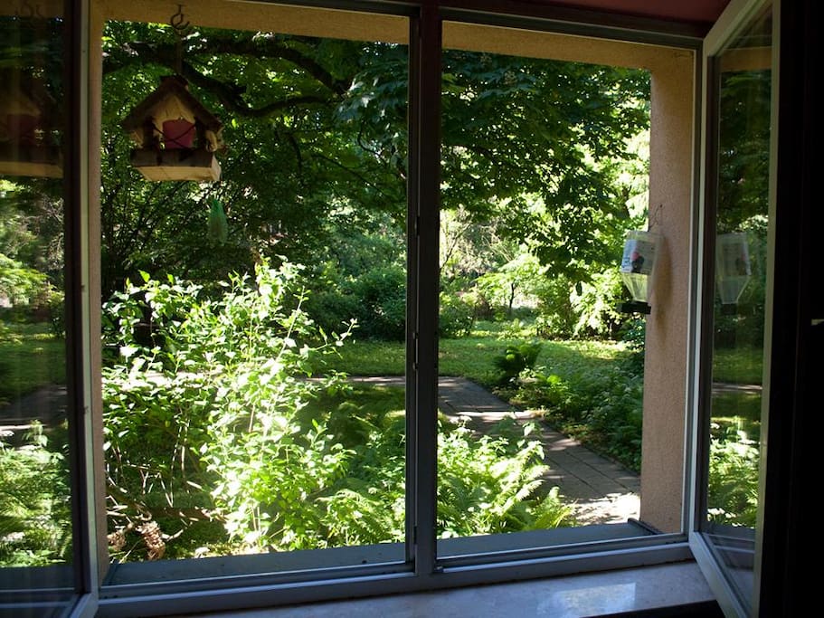 view from the bedroom, garden