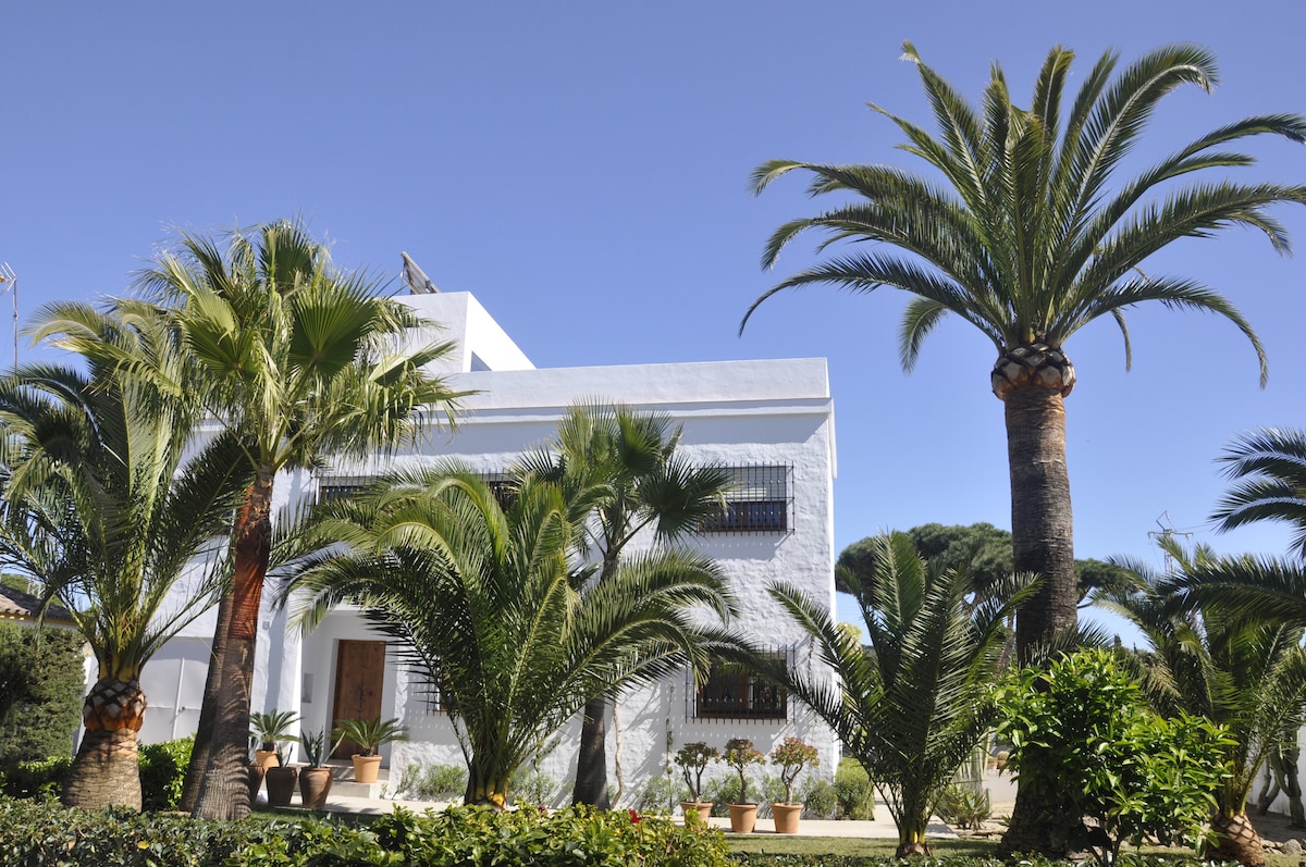 The exterior of the house is framed by lush palm trees and vibrant greenery. The white facade stands out against a clear blue sky. Potted plants are arranged around the entrance, enhancing the welcoming atmosphere of the Mediterranean garden.