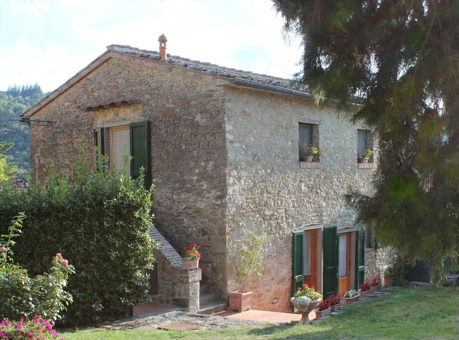 The house