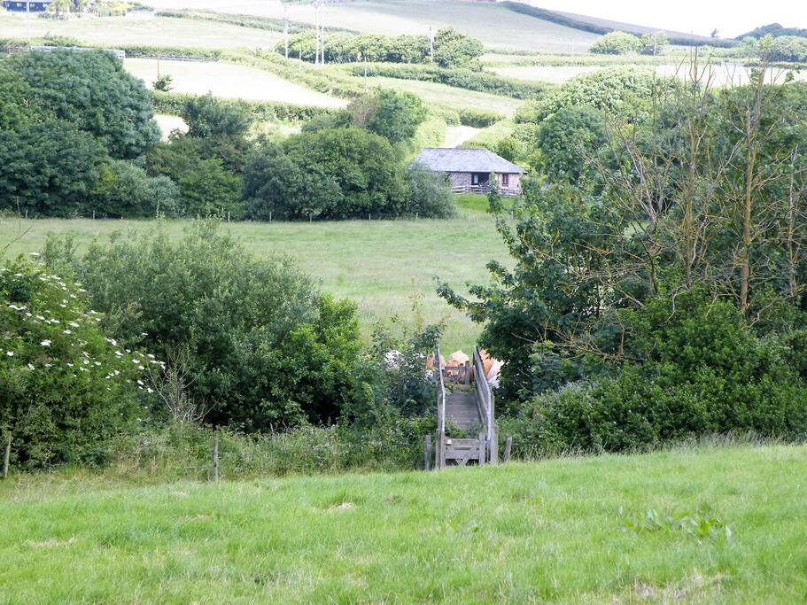 Swift Cottage surrounding area