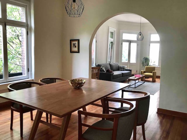 Unique historic and beautiful Apt, Roma Norte