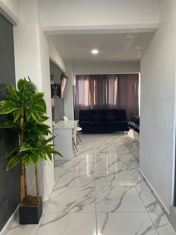 Цялата стая има висококачествен студент и голям прозорец, в случай че искате да работите с  дневната светлина. 