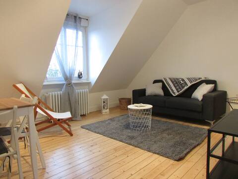 Strasbourg Zénith 3 room apartment ***