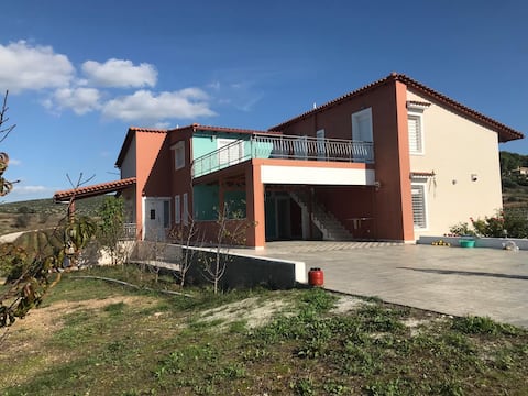 Delis vineyard villa near airport & sea