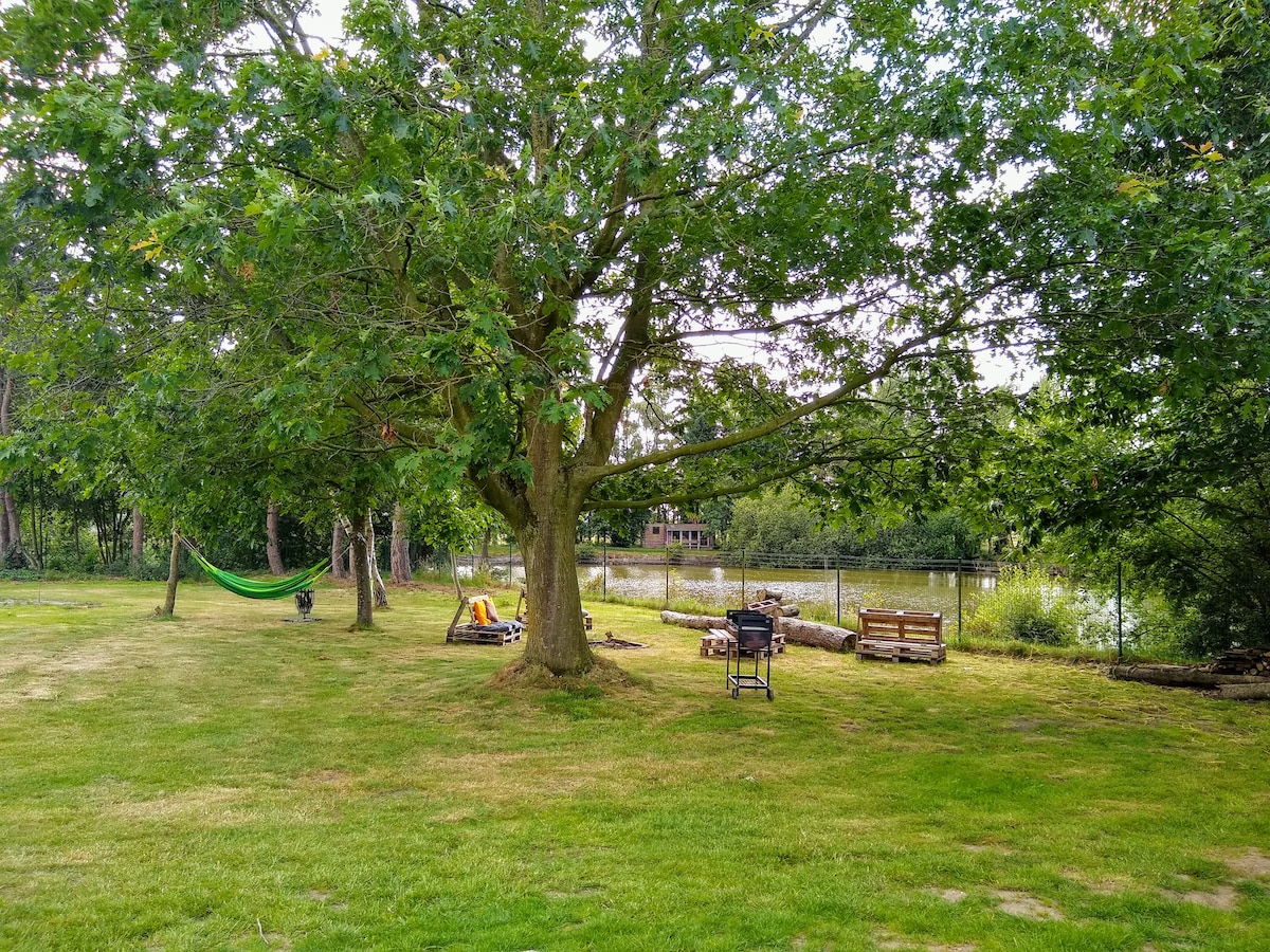 A spacious green area is surrounded by trees, featuring a hammock hung between branches. A grill is positioned nearby, along with seating made from wooden pallets. A water body can be seen in the background, providing a natural setting for relaxation.