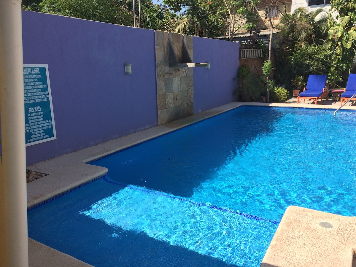 A refreshing saltwater pool is surrounded by tropical greenery, with a textured stone wall feature. Two lounge chairs in vibrant blue are positioned near the water's edge, inviting relaxation. Sunlight reflects off the pool's surface, creating a serene and inviting atmosphere.