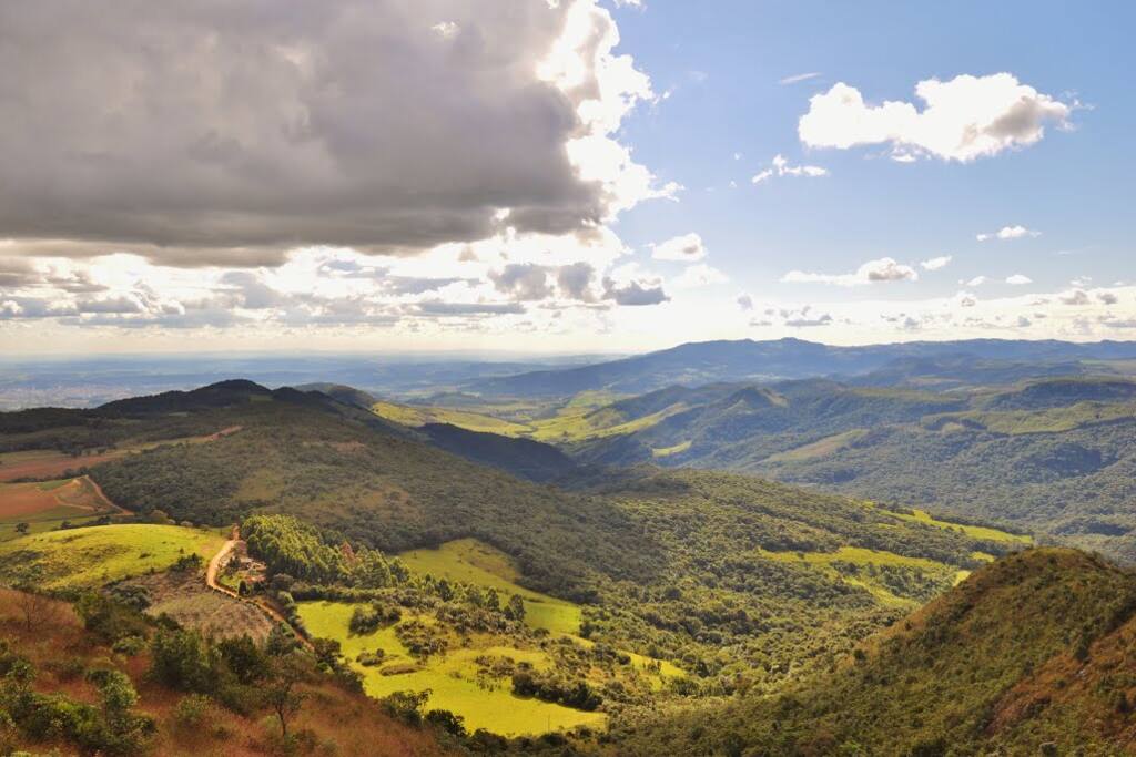 Pico do gavião
