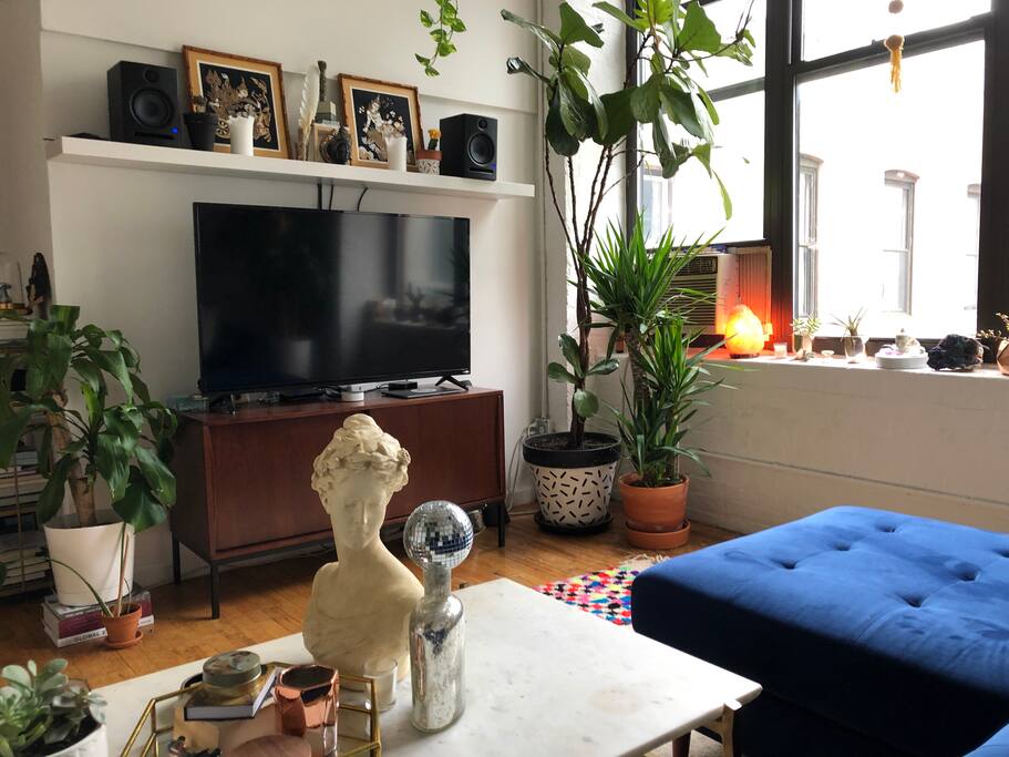 Living room, 48" TV with Apple TV, Amazon Alexa, and a great sound system