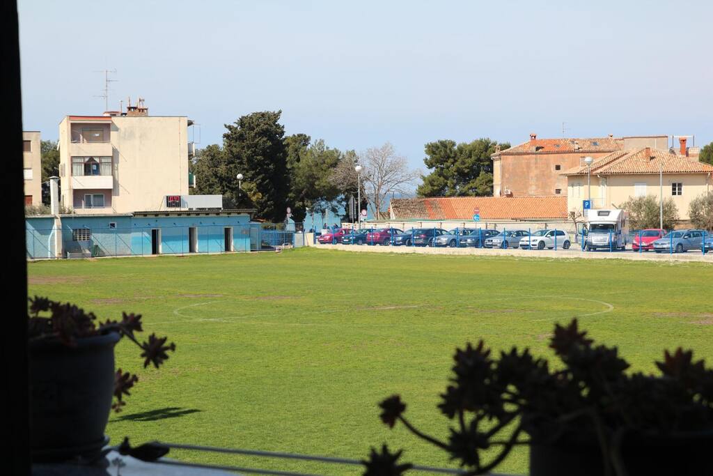 View from terrace