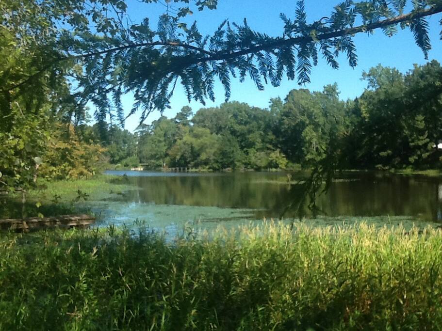 A lovely view of Lake Davis!