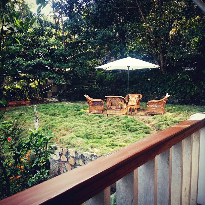 Our beautiful lawn