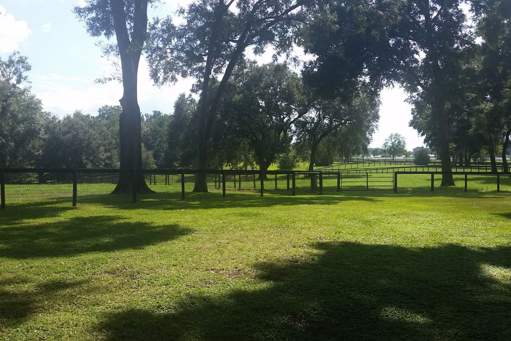 Turn out paddocks available!