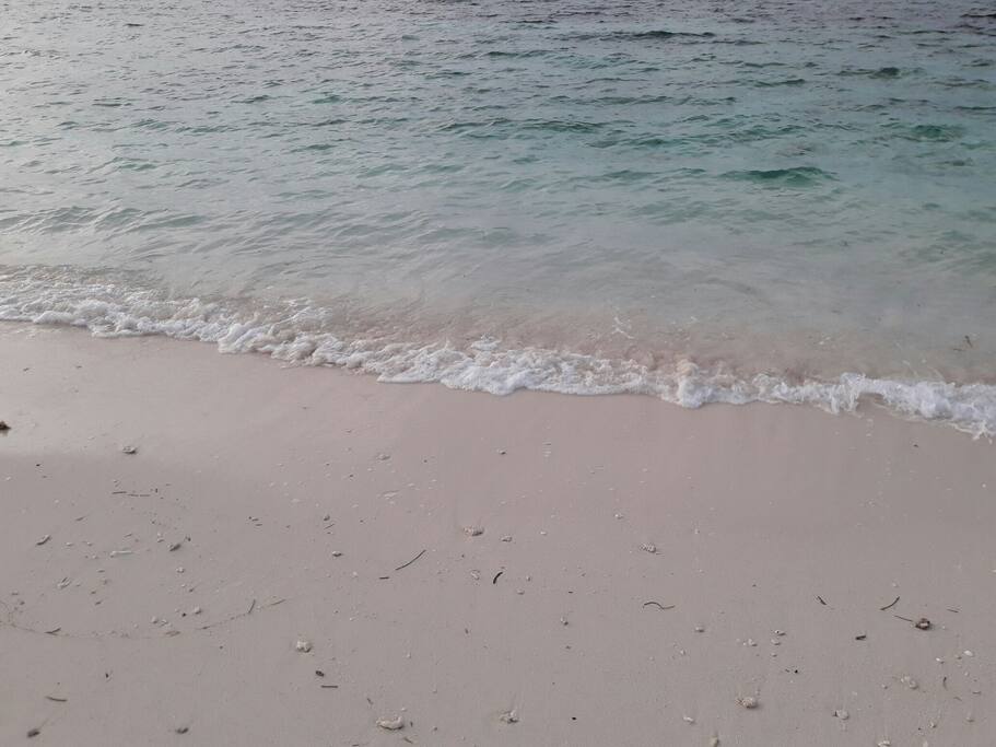 The shore