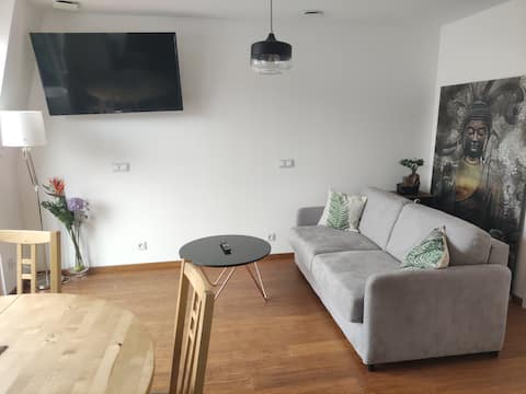 Flat in historic house, full renovat.Almost Basel.