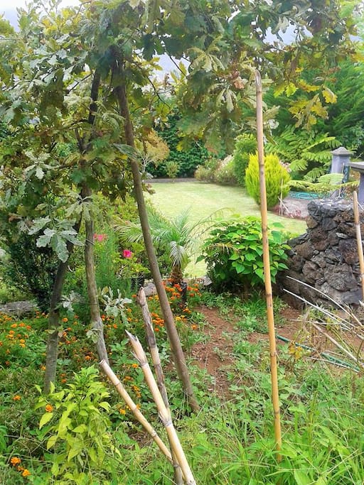 Perspective from the garden of the house...to another family garden