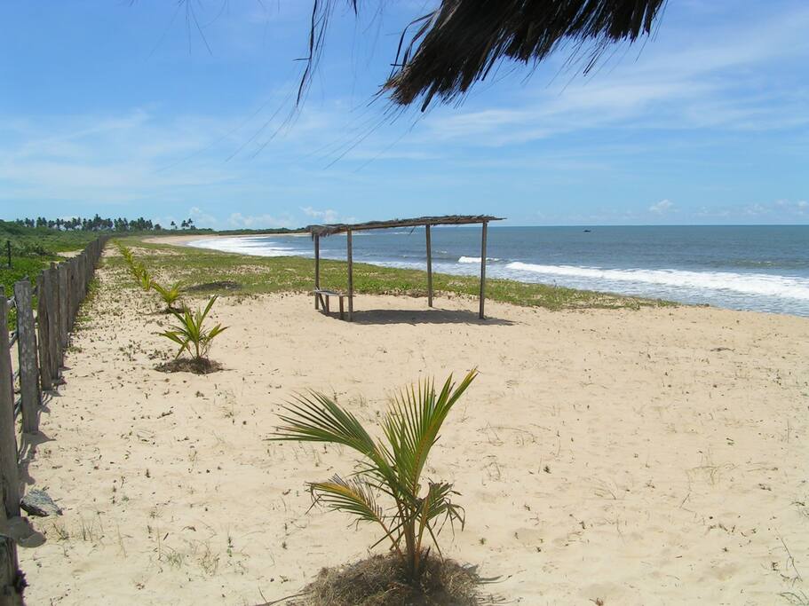 Praia da Fazenda Mogiquiçaba