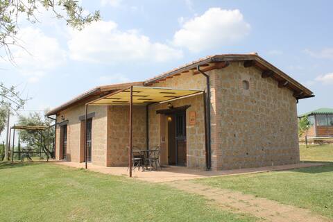 Two-Bedroom Apartment room only