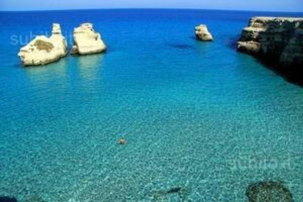 Spiaggia ad 1 km