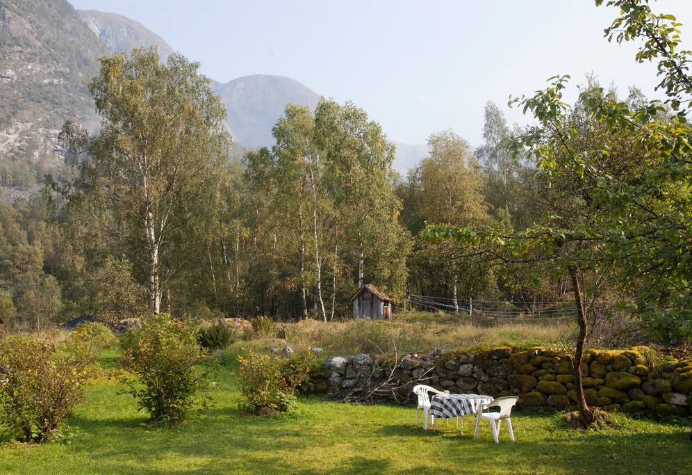 Part of the garden and property