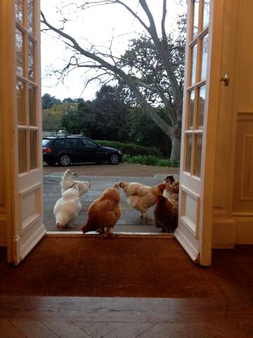 Magical manor house gallery image 5