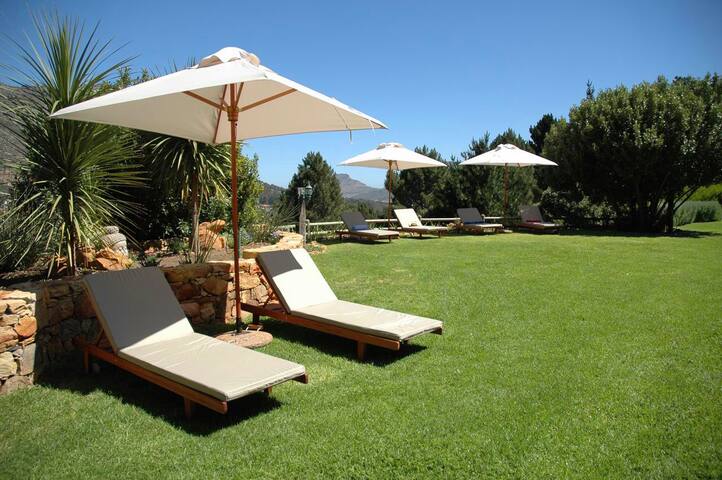 Ivy……set in a magical setting