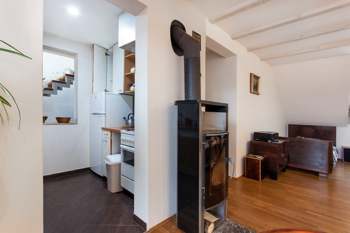 Appartement Gt, un lieu calme au cœur de Ljubljana — photo 4