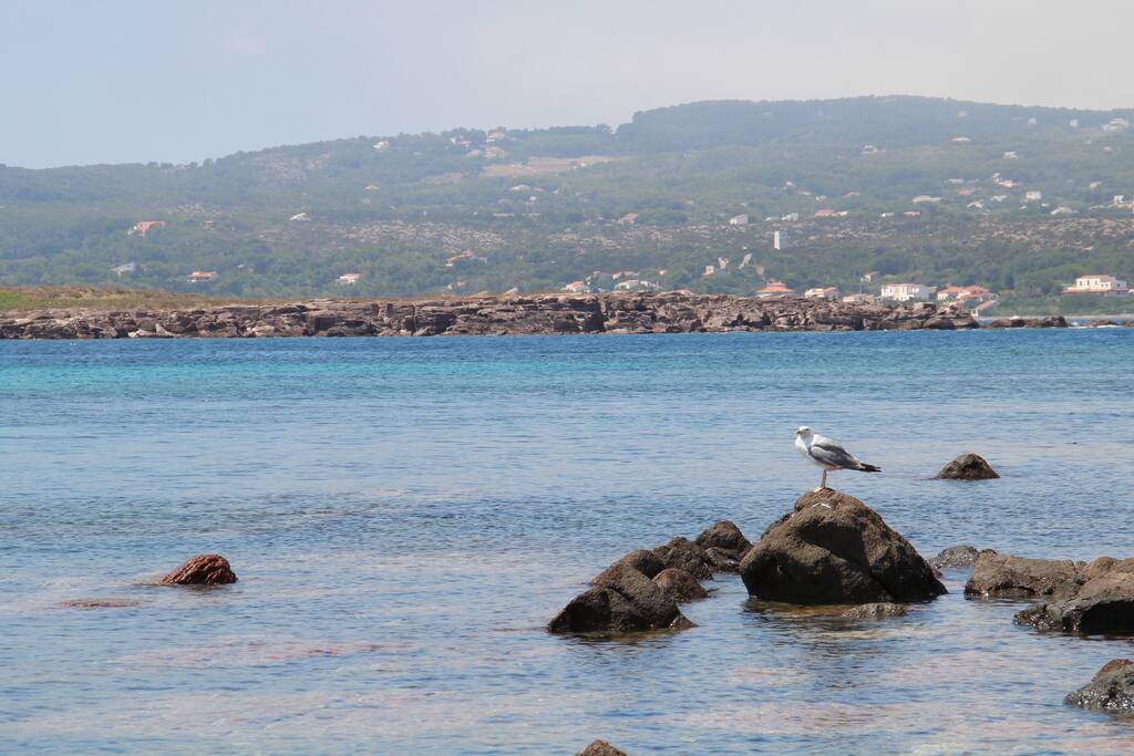 Il mare