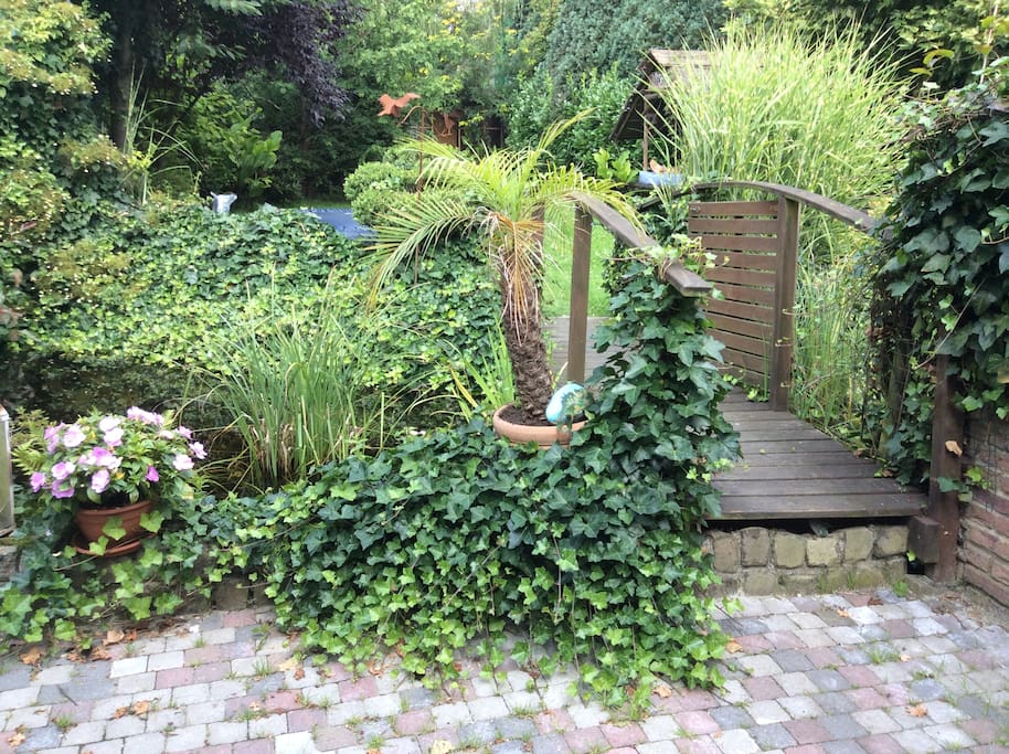 Le jardin avec l'étang et le pont