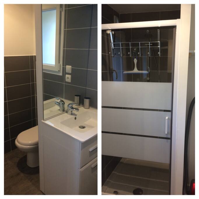 Pièce du rez de chaussée, wc et salle de bain avec douche et vasque.
