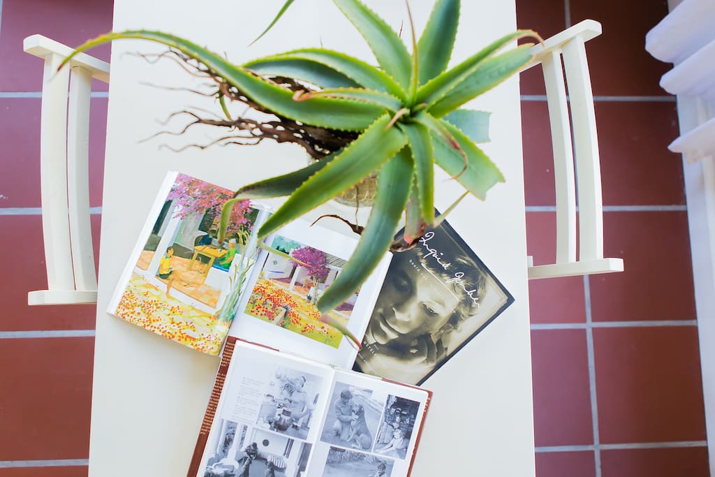 Books about Jan Rabie and his wife, the famous artist, Marjorie Wallace.
