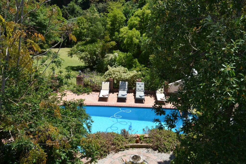 Pool with forest setting for use by guests