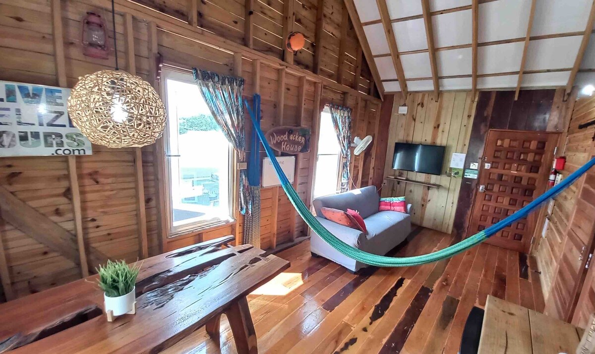 A wooden interior living area features a comfortable couch positioned near a wall-mounted television. A hammock is hung across the room, inviting relaxation. Large windows are dressed with patterned curtains, allowing natural light to brighten the space, while a rustic dining table provides additional seating.