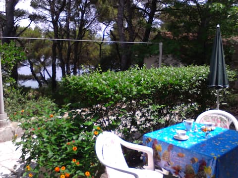 AP LEVANDA-near the sea and forest