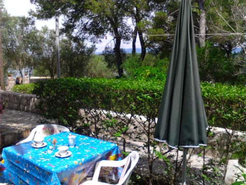 AP PALMA- near the forest and sea