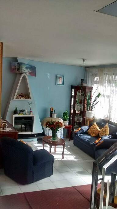 Sala Comun Chimenea