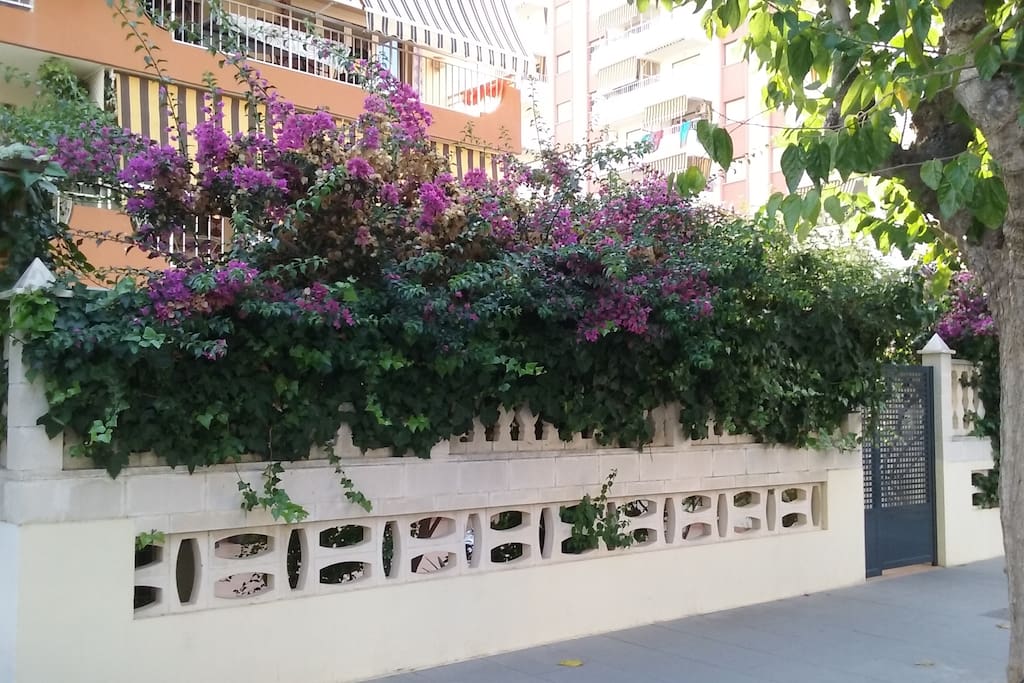 fachada