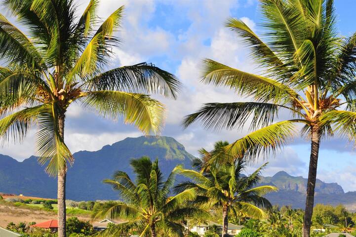 Fantastic Views and Walk to Beaches gallery image 5