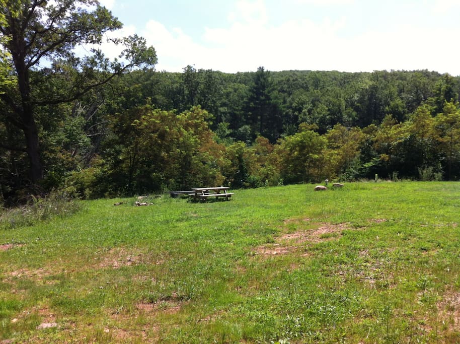 The field and 40 acres beyond
