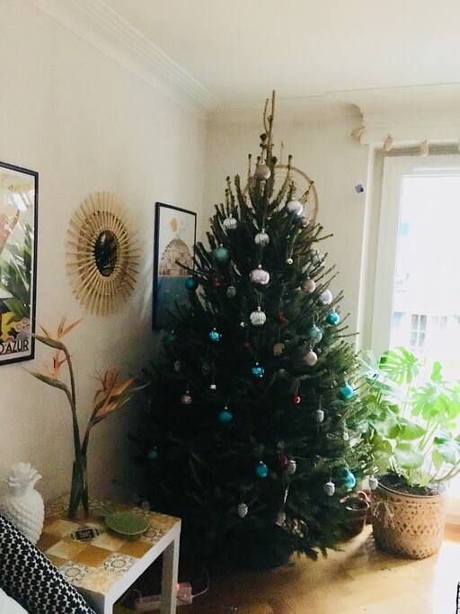 Magical Christmas in Geneva